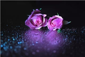 www.chongkongji66.com