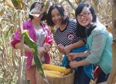 2.掰玉米人員25名，要求至少1年工作經(jīng)驗，手腕有勁手指靈活，拉呱時(shí)候能不耽誤干活，皮糙肉厚者優(yōu)先：