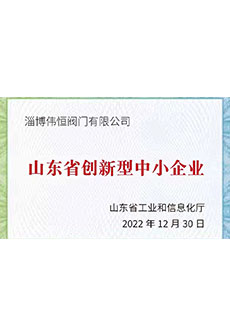 2022年山東省創(chuàng  )新型中小企業(yè)